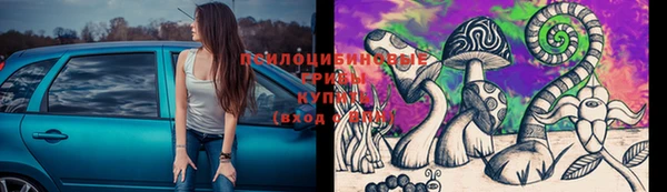 ПСИЛОЦИБИНОВЫЕ ГРИБЫ Баксан