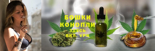 трава Балахна