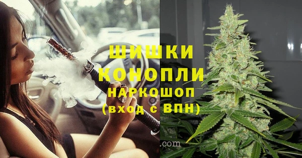 ПСИЛОЦИБИНОВЫЕ ГРИБЫ Баксан
