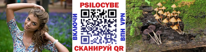 Галлюциногенные грибы прущие грибы  блэк спрут как войти  Верхнеуральск 